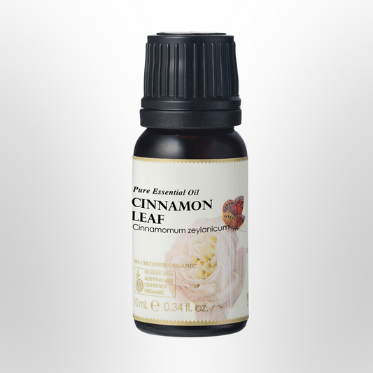 AUSGANICA Cinnamon Leaf Essential Oil Organic 10ml