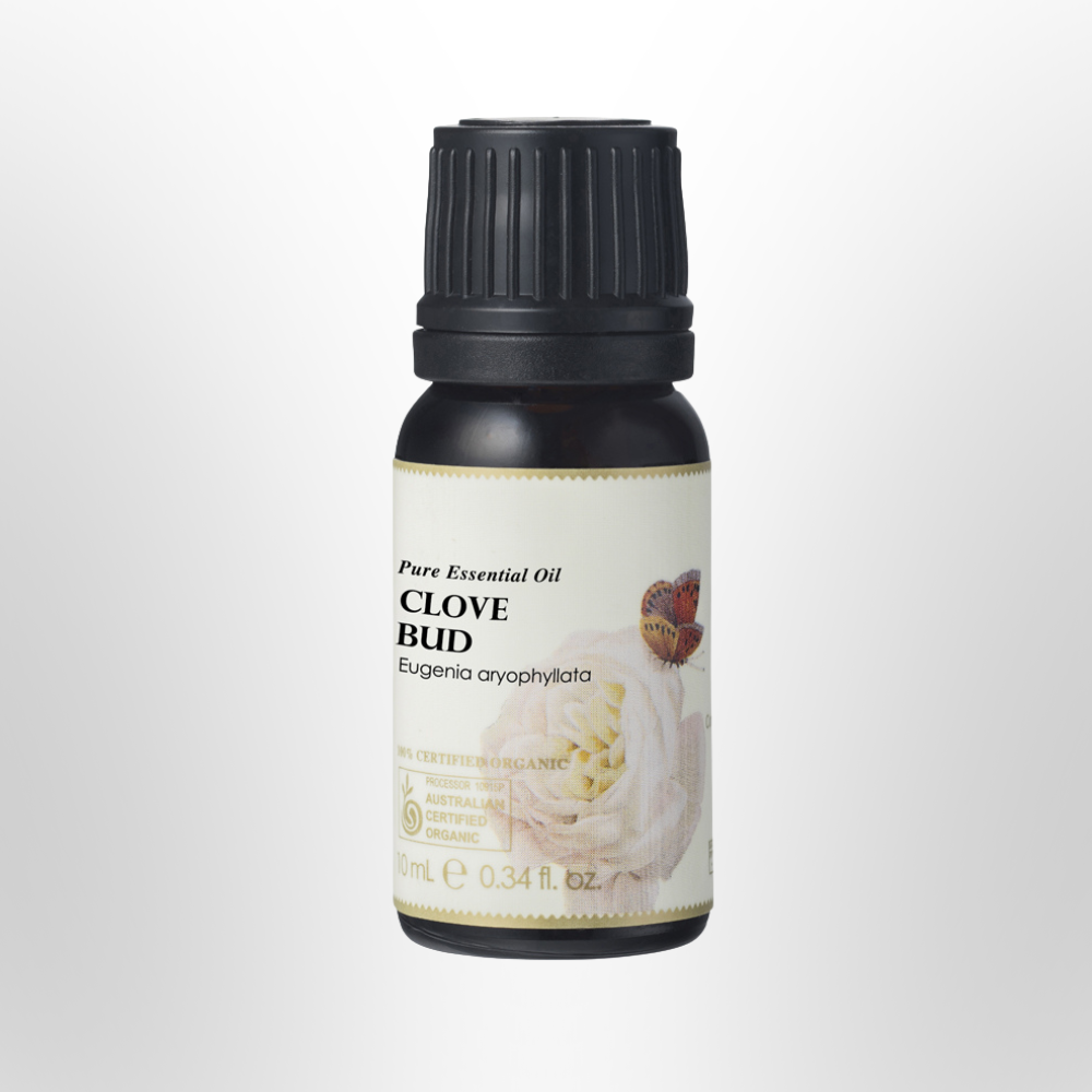 AUSGANICA Clove Bud Essential Oil Organic 10ml