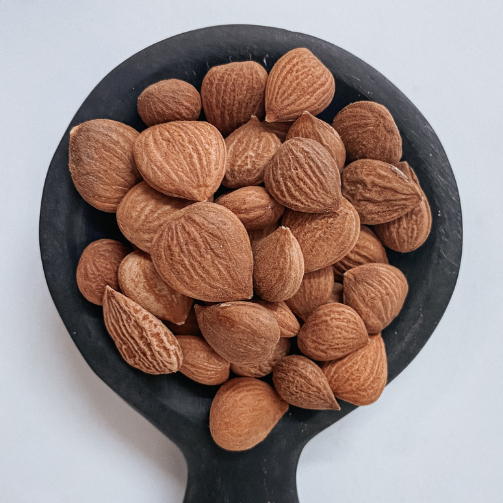 Apricot Kernels Raw Organic