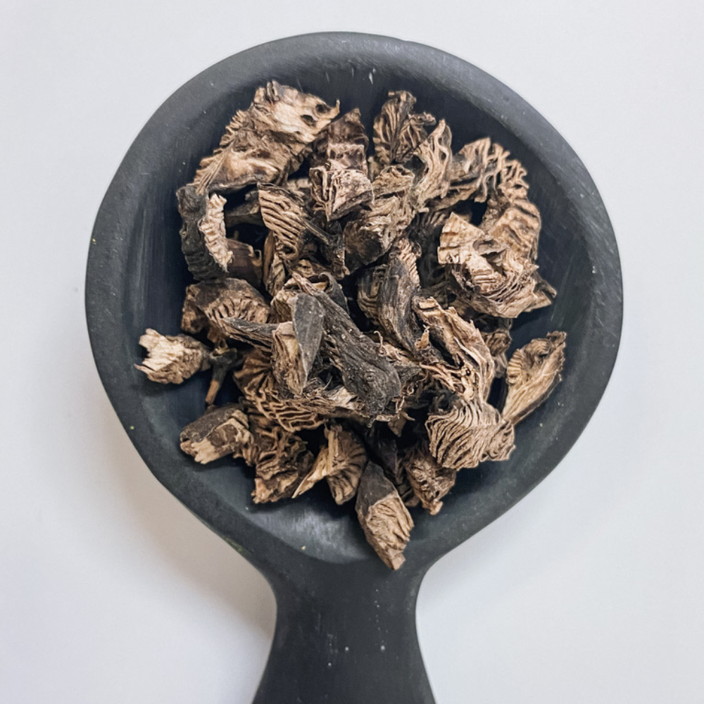 Black Cohosh Root Organic