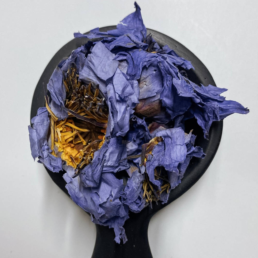 Blue Lotus Flower Tea Organic