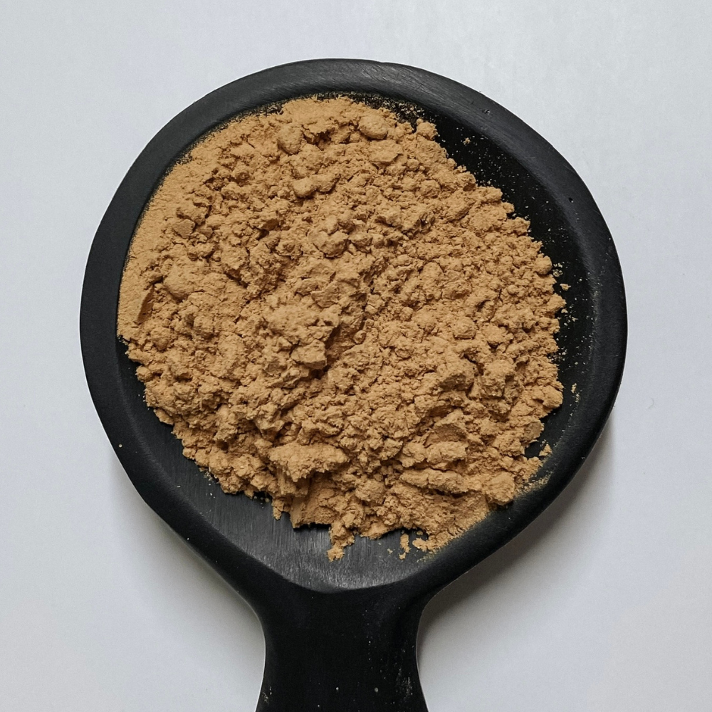 Maitake Mushroom Powder Organic