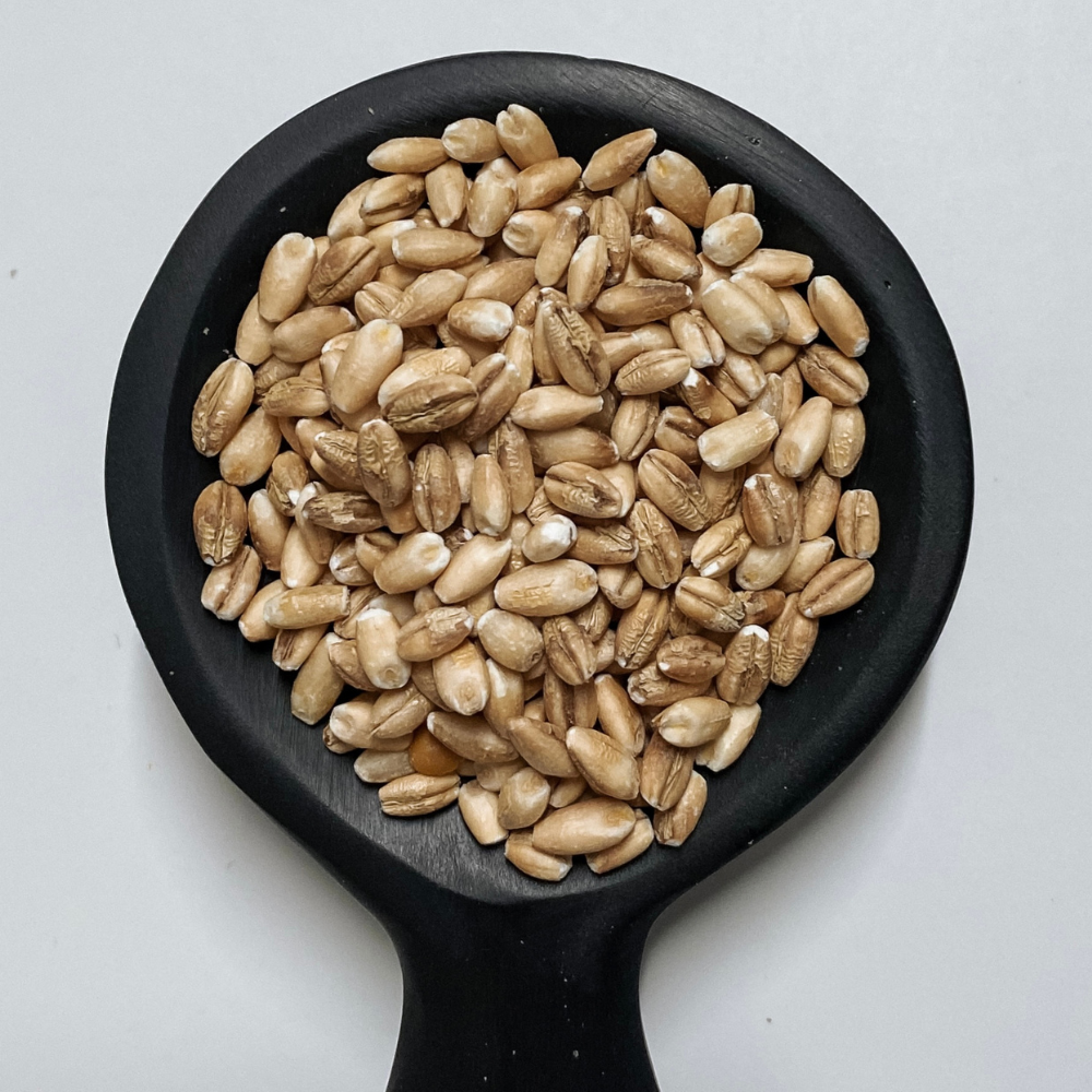 Australian Pearl Barley Organic