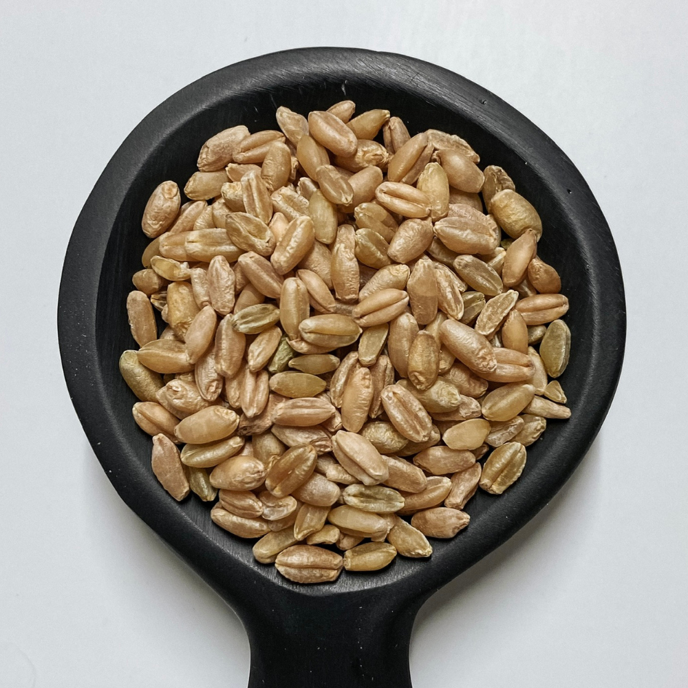 Freekeh Wholegrain Australian