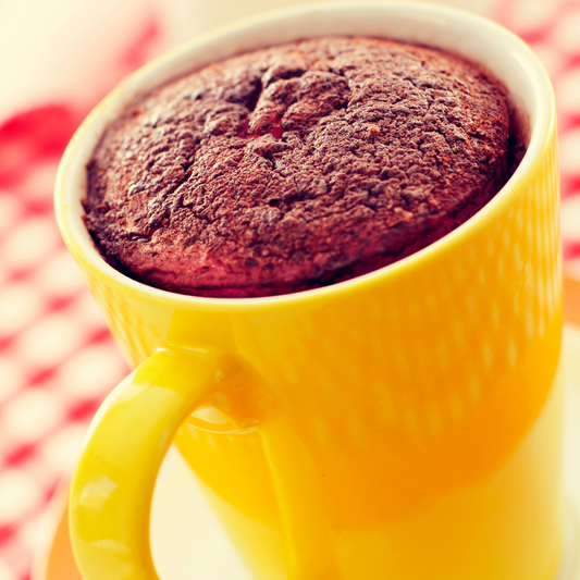 Soltree's Chocolate Pudding Mug Cake