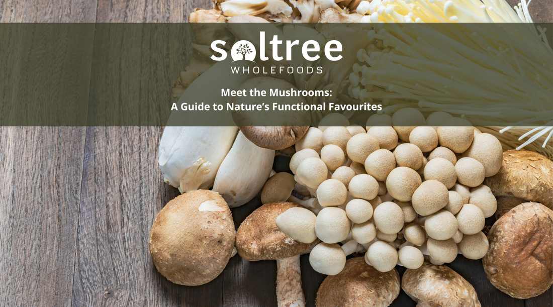 Meet the Mushrooms: A Guide to Nature’s Functional Favourites