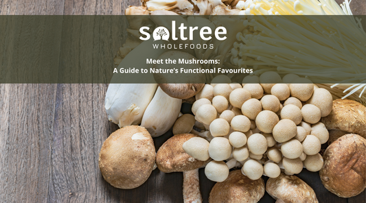 Meet the Mushrooms: A Guide to Nature’s Functional Favourites