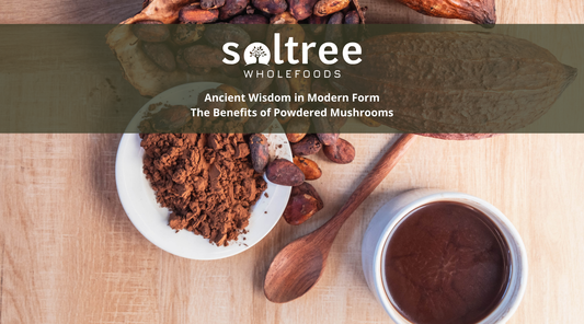 Ancient Wisdom in Modern Form: The Benefits of Powdered Mushrooms