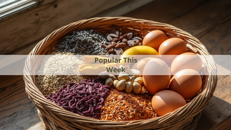 Popular This Week