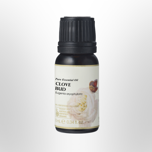 AUSGANICA Clove Bud Essential Oil Organic 10ml