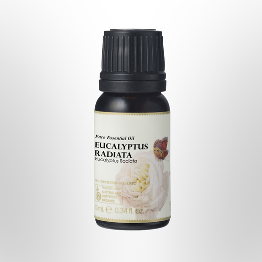 AUSGANICA Eucalyptus Radiata Essential Oil Organic 10ml