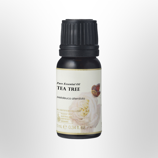 AUSGANICA Tea Tree Essential Oil Organic 10ml