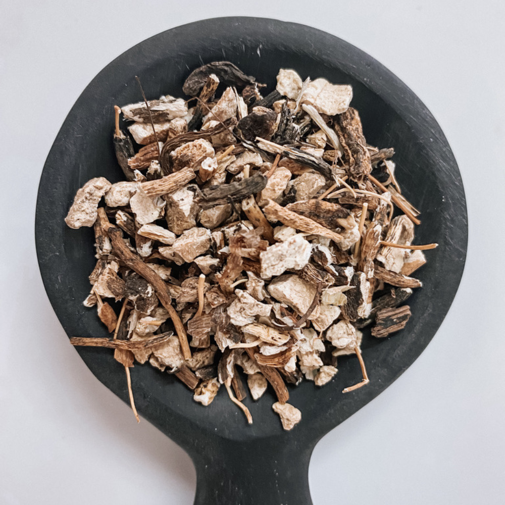 Angelica Root Organic