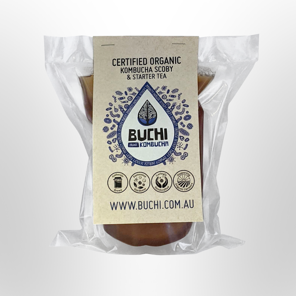 BUCHI Kombucha Scoby
