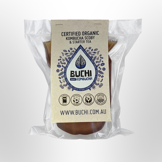 BUCHI Kombucha Scoby