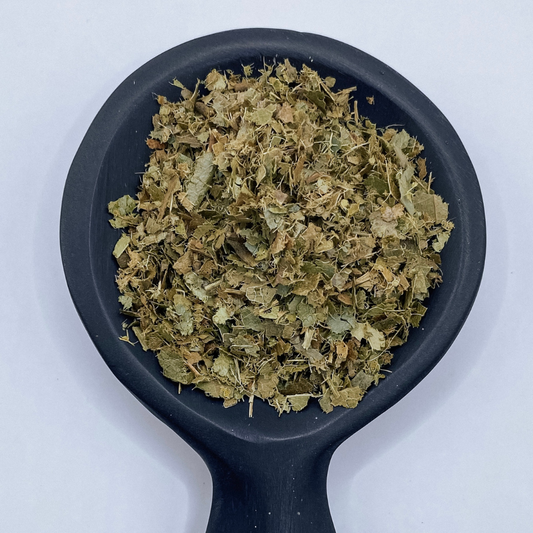 Soursop Graviola Leaf Organic