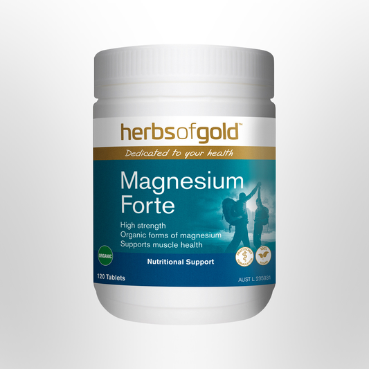 HOG Magnesium Forte 120 Tabs