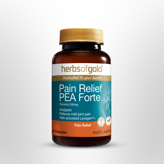 HOG Pain Relief PEA Forte 21 Caps