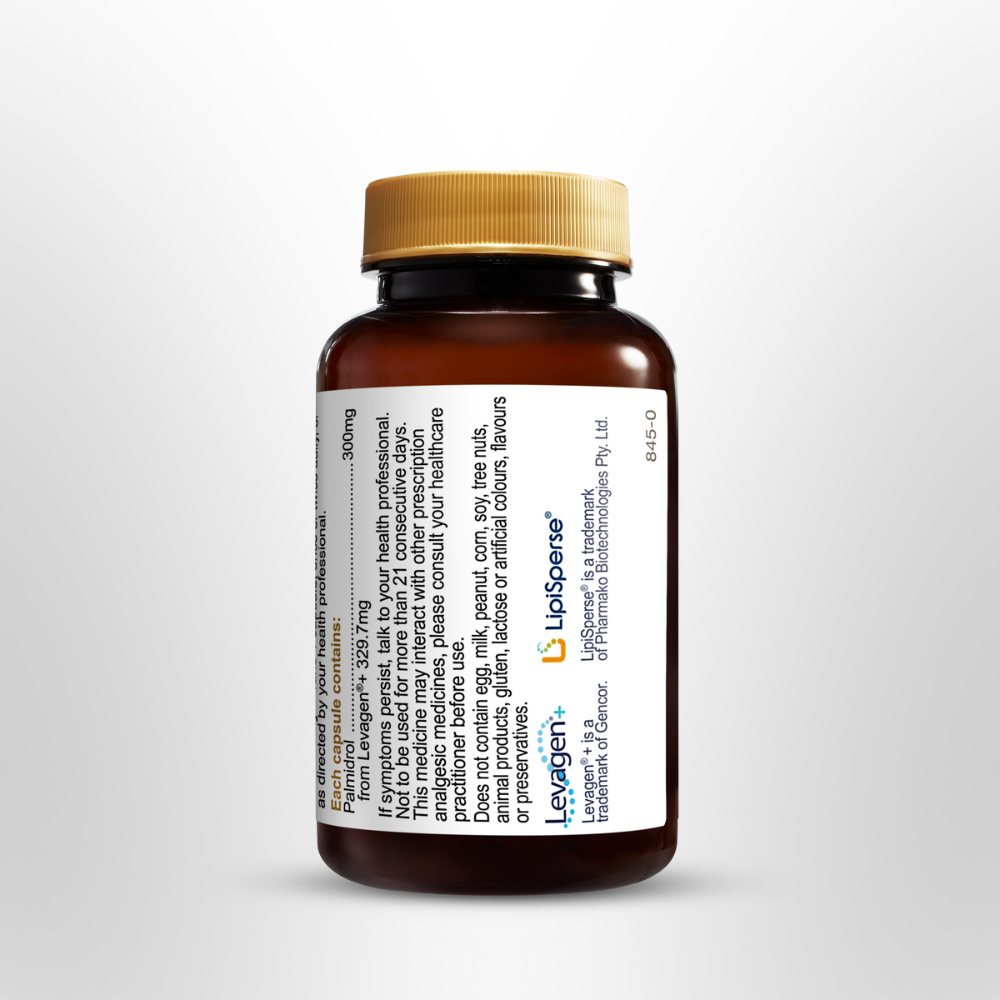 HOG Pain Relief PEA Forte 21 Caps