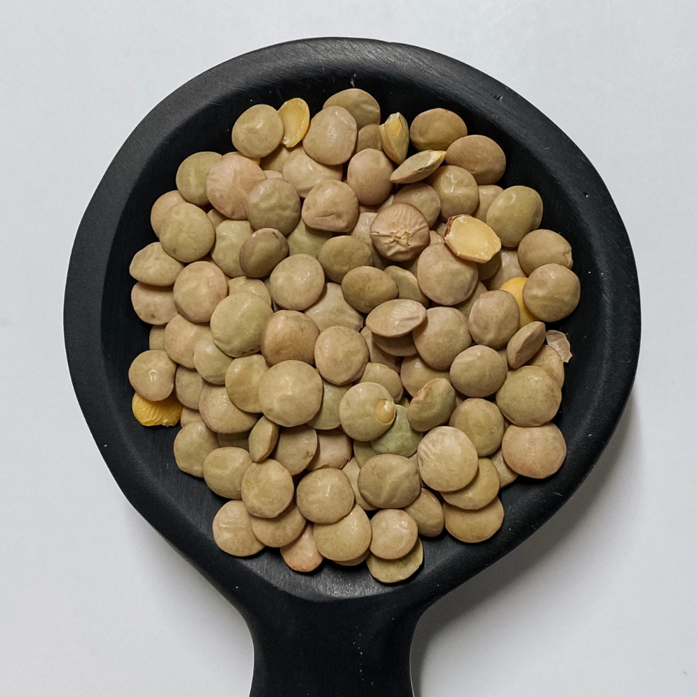Lentils Green Whole Laird Organic