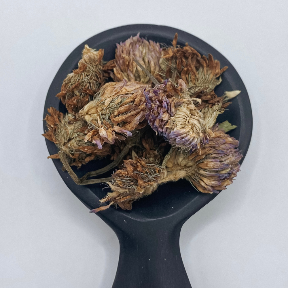 Red Clover Whole Organic