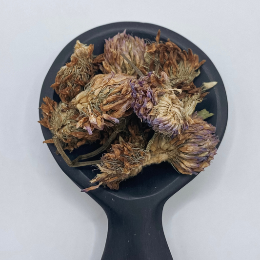 Red Clover Whole Organic