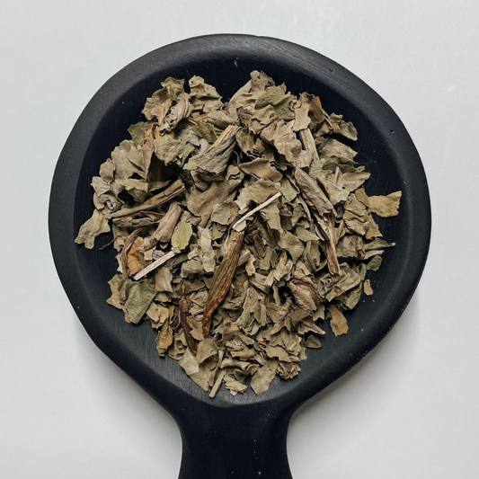Plantain Leaf Organic