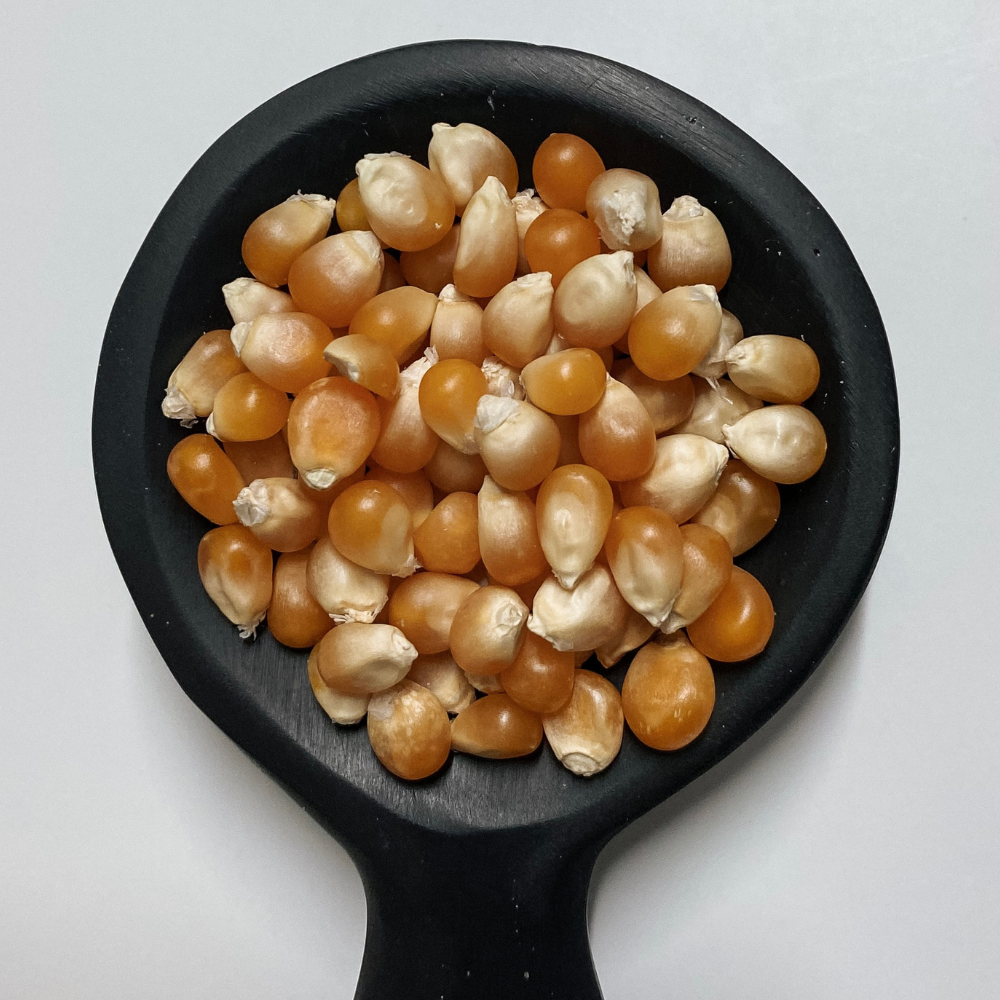Popping Corn Kernels (Popcorn) Organic