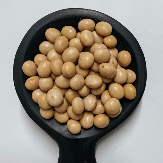 Soya Beans (Soybeans) Organic
